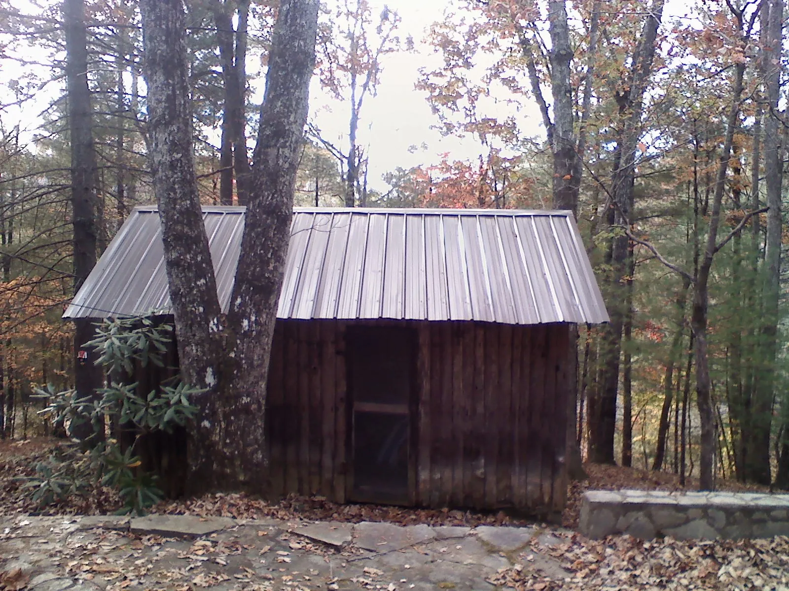 New metal gable roof on a small log shed among the trees in Belmont